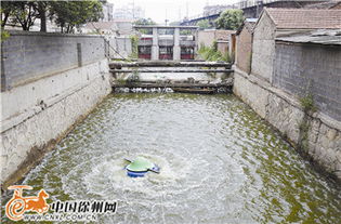 清水繞城，生態煥新 我市探索治理黑臭河道新路徑