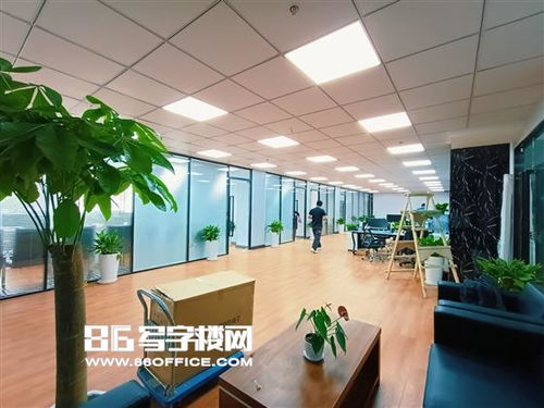 上海保周創(chuàng)新中心出租 進出口業(yè)務(wù) 貨代 航運 報關(guān) 物流 第三方物流 電商 直播等 86寫字樓網(wǎng)